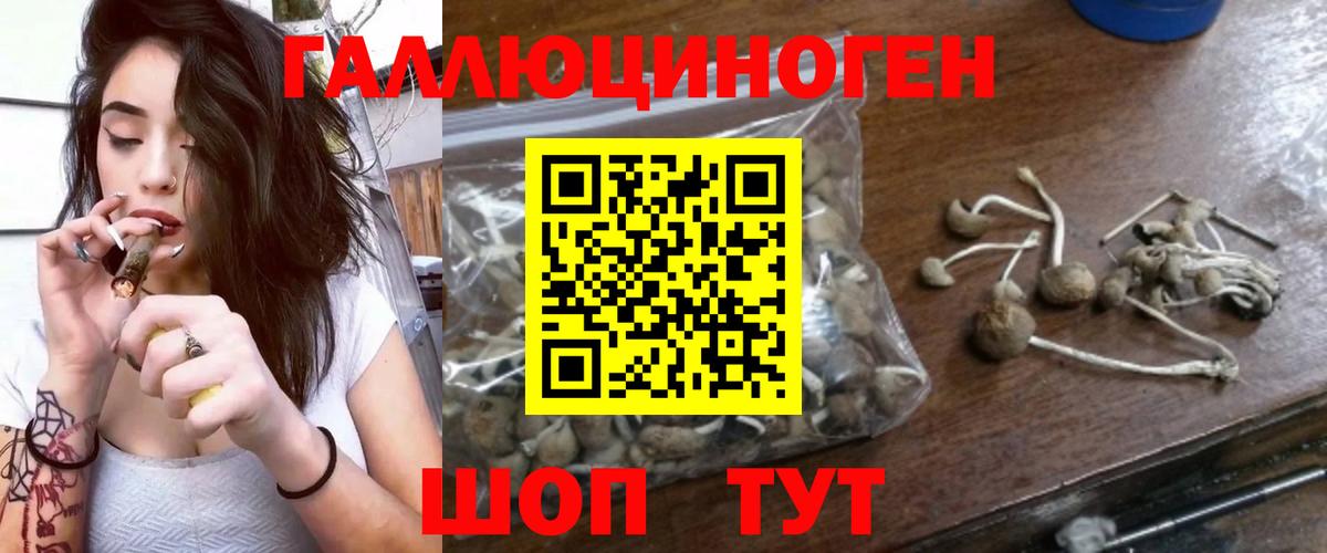 Псилоцибиновые грибы GOLDEN TEACHER  купить наркотики цена  Нарткала  Вход с VPN 